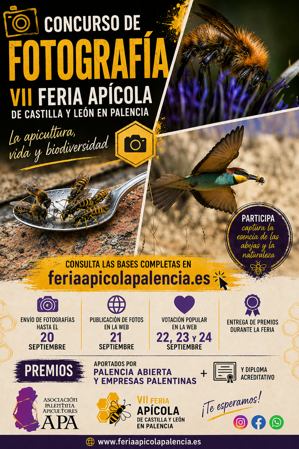 Concurso Fotografía Feria Apícola Palencia 2026